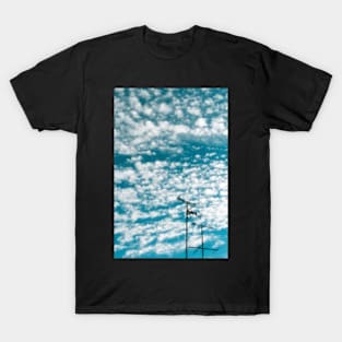 Down To Earth T-Shirt